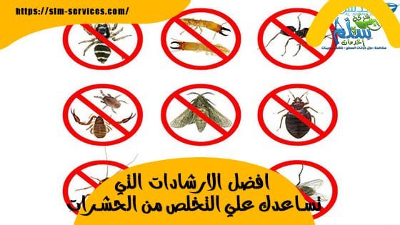 افضل الارشادات التي تساعدك علي التخلص من الحشرات