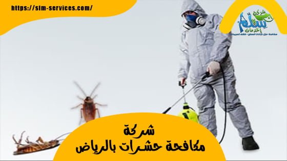 شركة مكافحة حشرات بالرياض الصالحي - الحل الأمثل لمشاكل الحشرات